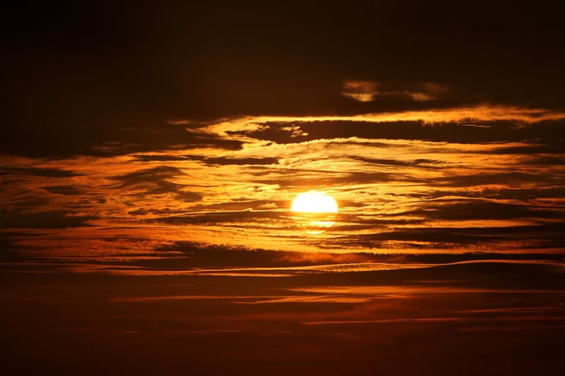 Sunrise Tai Chi